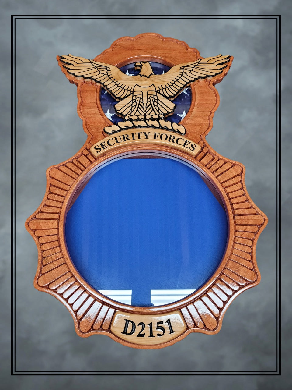 UASF Security Forces Patch