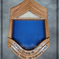 Air Force Oak CMSgt Shadowbox with Lower Stripe Engraving and Golden Oak Stain
