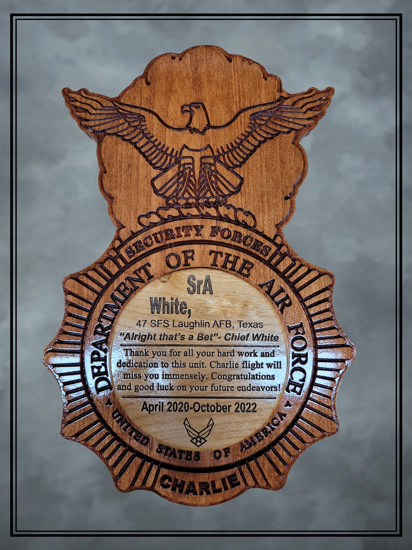 Cherry Air Force Security Forces Plaque