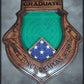 Air Force Weapons School Shadowbox with Dark Walnut Stain and Lasered Glass