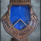 Air Force Weapons School Shadowbox with Dark Walnut Stain, Lasered Glass, and Stand